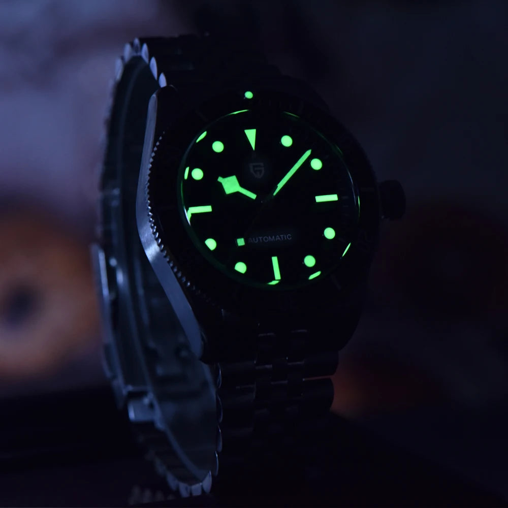 PAGANI DESIGN 2025 new men's watch sapphire luxury retro mechanical watch men's gift box stainless steel waterproof men's watch